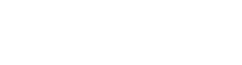 Neo Vinci logo